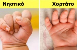 18 τρόποι που επικοινωνούν τα μωρά χωρίς να μιλήσουν και που θα έπρεπε όλες οι μητέρες να γνωρίζουν 18-τρόποι-που-επικοινωνούν-τα-μωρά-χωρίς-να-μιλήσουν-και-που-θα-έπρεπε-όλες-οι-μητέρες-να-γνωρίζουν