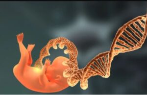 Στο μικροσκόπιο το DNA 100.000 νεογέννητων μωρών για να βρεθούν σπάνιες παθήσεις Στο-μικροσκόπιο-το-dna-100.000-νεογέννητων-μωρών-για-να-βρεθούν-σπάνιες-παθήσεις