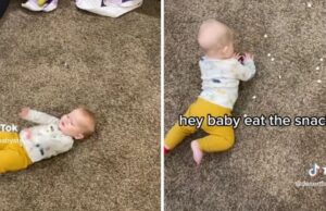 Οργή για τις εικόνες με το μωρό που τρώει φαγητό από το πάτωμα σαν… κότα – «Εξευτελιστικό και αηδιαστικό» Οργή-για-τις-εικόνες-με-το-μωρό-που-τρώει-φαγητό-από-το-πάτωμα-σαν…-κότα-–-«Εξευτελιστικό-και-αηδιαστικό»