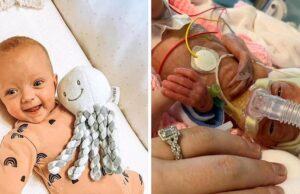 Προωράκι θα γιορτάσει τα Χριστούγεννα σπίτι του μετά από σκληρή μάχη για τη ζωή του Προωράκι-θα-γιορτάσει-τα-Χριστούγεννα-σπίτι-του-μετά-από-σκληρή-μάχη-για-τη-ζωή-του