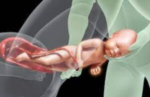 Κολπικός τοκετός ή καισαρική: Ο τρόπος γέννησης επιδρά στην ανταπόκρισή μας στα εμβόλια Κολπικός-τοκετός-ή-καισαρική:-Ο-τρόπος-γέννησης-επιδρά-στην-ανταπόκρισή-μας-στα-εμβόλια