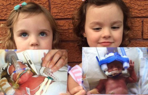 Μαχητές από κούνια Μαχητές-από-κούνια