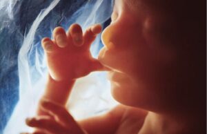 Έρευνα | Τα μωρά ακούνε το νανούρισμα πριν ακόμα γεννηθούν Έρευνα-|-Τα-μωρά-ακούνε-το-νανούρισμα-πριν-ακόμα-γεννηθούν