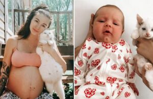 Έγκυος έσωσε έγκυο γατούλα και γέννησαν την ίδια μέρα! Έγκυος-έσωσε-έγκυο-γατούλα-και-γέννησαν-την-ίδια-μέρα!