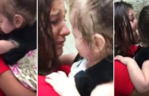 Κοpιτσάκι γεννήθηκε τυφλό και είδε το φως με τα μάτια ενός άλλου Κοpιτσάκι-γεννήθηκε-τυφλό-και-είδε-το-φως-με-τα-μάτια-ενός-άλλου