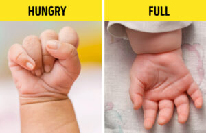 10 σημάδια που θα σας βοηθήσουν να καταλάβετε τι θέλει να σας πει το μωρό σας 10-σημάδια-που-θα-σας-βοηθήσουν-να-καταλάβετε-τι-θέλει-να-σας-πει-το-μωρό-σας