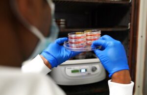 Guardian: Το πρώτο «συνθετικό έμβρυο» στον κόσμο δημιούργησαν επιστήμονες στο Ισραήλ guardian:-Το-πρώτο-«συνθετικό-έμβρυο»-στον-κόσμο-δημιούργησαν-επιστήμονες-στο-Ισραήλ