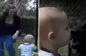 Πώς βοηθούν οι σκύλοι τα παιδιά με άγχος; Πώς-βοηθούν-οι-σκύλοι-τα-παιδιά-με-άγχος;