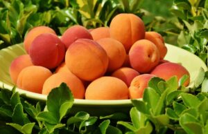 Ρίκο ρίκο ρίκοκο: Βερίκοκο, όλα όσα θες να ξέρεις για ένα πολύ θρεπτικό φρούτο Ρίκο-ρίκο-ρίκοκο:-Βερίκοκο,-όλα-όσα-θες-να-ξέρεις-για-ένα-πολύ-θρεπτικό-φρούτο