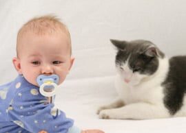 Γνωρίστε «αναίμακτα» το κατοικίδιο σας στο νεογέννητο μωρό Γνωρίστε-«αναίμακτα»-το-κατοικίδιο-σας-στο-νεογέννητο-μωρό