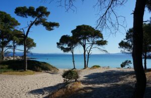 Καλοκαιρινές ευκαιρίες εμπλοκής και μάθησης για το παιδί – Προτεινόμενες δραστηριότητες Καλοκαιρινές-ευκαιρίες-εμπλοκής-και-μάθησης-για-το-παιδί-–-Προτεινόμενες-δραστηριότητες