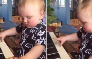 Μότσαρτ από… κούνια: 2χρονος μπόμπιρας συνθέτει τα δικά του κομμάτια στο πιάνο Μότσαρτ-από…-κούνια:-2χρονος-μπόμπιρας-συνθέτει-τα-δικά-του-κομμάτια-στο-πιάνο