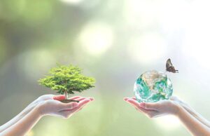 Πρόγραμμα διαδικτυακών μαθημάτων για μαθητές και μαθήτριες σε μη σχολικό χρόνο: «Περιβάλλον-Κλιματική Αλλαγή-Αειφορία» Πρόγραμμα-διαδικτυακών-μαθημάτων-για-μαθητές-και-μαθήτριες-σε-μη-σχολικό-χρόνο:-«Περιβάλλον-Κλιματική-Αλλαγή-Αειφορία»