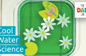 Φανταστικά και εύκολα πειράματα με νερό για να κάνετε με τα παιδιά σας! (VIDEO) Φανταστικά-και-εύκολα-πειράματα-με-νερό-για-να-κάνετε-με-τα-παιδιά-σας!-(video)