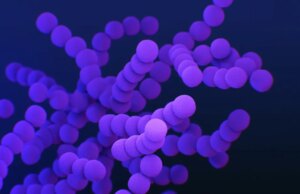 6 οι θάνατοι παιδιών από στρεπτόκοκκο φέτος – Όσα πρέπει να ξέρετε 6-οι-θάνατοι-παιδιών-από-στρεπτόκοκκο-φέτος-–-Όσα-πρέπει-να-ξέρετε