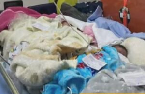 Φωτιά Αλεξανδρούπολη: Συγκλονίζει η εικόνα από την μεταφορά βρεφών από το νοσοκομείο