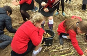 Το παιχνίδι με τις πατάτες: πώς μια δασκάλα δίδαξε στους μαθητές της ένα σπουδαίο μάθημα