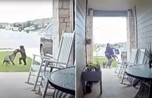 Μαμά έσωσε το 2χρονο αγοράκι της από τα δόντια άγριου σκύλου!