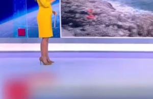 Εγκυμοσύνη έκπληξη στον ΣΚΑΙ – Η πρώτη δημόσια εμφάνιση στο πλατό με φουσκωμένη κοιλίτσα