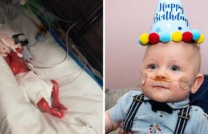 Προωράκι που έζησε από θαύμα γιόρτασε τα 1α του γενέθλια!