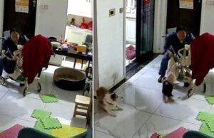 Μπαμπάς “από μηχανής θεός” έσωσε το παιδάκι του που έπεσε από το καρότσι ενώ το τάιζε!