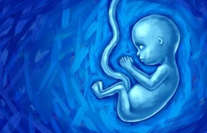 Αιτίες εμβρυϊκού θανάτου – Ο γυναικολόγος συμβουλεύει