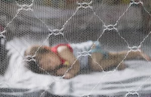 Ιός του Δυτικού Νείλου: Με ποια συμπτώματα εκδηλώνεται, πώς θα προστατεύσετε τα παιδιά σας