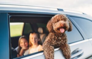 Παγκόσμια Ημέρα Ζώων: 5 πολύτιμα μαθήματα που μπορεί να δώσουν στο παιδί