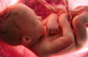 Όσα πρέπει να ξέρει μια έγκυος για την ανάπτυξη του εγκεφάλου του εμβρύου