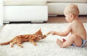 Γάτα και μωρό: Όλα όσα πρέπει να γνωρίζετε + οδηγός γνωριμίας