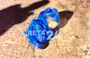 Γυναίκα γέννησε και πέταξε το μωρό της στα σκουπίδια