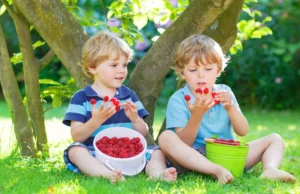 35 ιδέες για σνακ (περιλαμβάνει συνταγές για διαβήτη, κοιλιοκάκη και υγιεινή διατροφή)