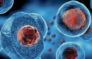 Βλαστοκύτταρα: Το «κλειδί» για το μέλλον της ιατρικής