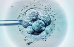 Γεννήθηκε το «γηραιότερο μωρό» στον κόσμο: Έμβρυο κατεψυγμένο για 30 χρόνια φέρνει ζωή στις ΗΠΑ