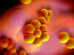 Σταφυλόκοκκος στα παιδιά: Συμπτώματα, κίνδυνοι και μέτρα προστασίας