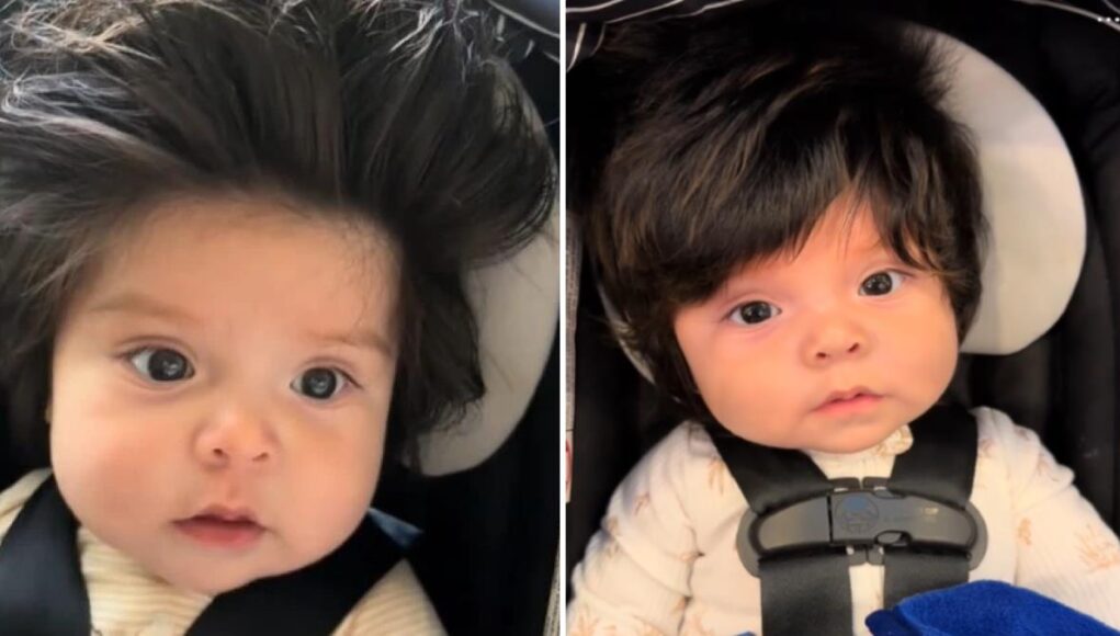 Είναι μόνο 5 μηνών και κερδίζει το βραβείο του πιο… μαλλιαρού μωρού στον κόσμο!