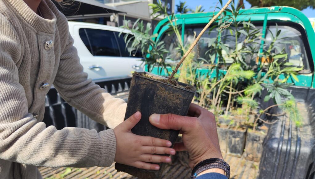 &Pi;&alpha;&rho;ό&nu;&tau;&epsilon;&sigmaf; &sigma;&tau;&omicron; &laquo;&Phi;&upsilon;&tau;&epsilon;ύ&omega; &gamma;&iota;&alpha; &tau;&omicron; &Kappa;&lambda;ί&mu;&alpha;&raquo; &ndash; &mu;&iota;&alpha; &omicron;&upsilon;&sigma;&iota;&alpha;&sigma;&tau;&iota;&kappa;ή &kappa;&alpha;&iota; &epsilon;&lambda;&pi;&iota;&delta;&omicron;&phi;ό&rho;&alpha; &delta;&rho;ά&sigma;&eta; &tau;&omicron;&upsilon; &Tau;&mu;ή&mu;&alpha;&tau;&omicron;&sigmaf; &Delta;&alpha;&sigma;ώ&nu;