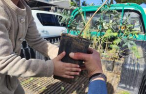 Παρόντες στο «Φυτεύω για το Κλίμα» – μια ουσιαστική και ελπιδοφόρα δράση του Τμήματος Δασών