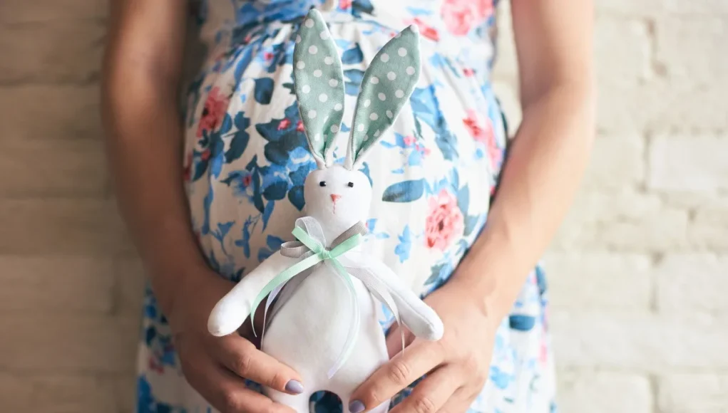 &Epsilon;&gamma;&kappa;&upsilon;&mu;&omicron;&sigma;ύ&nu;&eta; &kappa;&alpha;&iota; &Pi;ά&sigma;&chi;&alpha;: &Omicron; &alpha;&pi;ό&lambda;&upsilon;&tau;&omicron;&sigmaf; &omicron;&delta;&eta;&gamma;ό&sigmaf; &gamma;&iota;&alpha; &mu;ί&alpha; ή&rho;&epsilon;&mu;&eta; &kappa;&alpha;&iota; &alpha;&sigma;&phi;&alpha;&lambda;ή &epsilon;&omicron;&rho;&tau;&alpha;&sigma;&tau;&iota;&kappa;ή &pi;&epsilon;&rho;ί&omicron;&delta;&omicron;